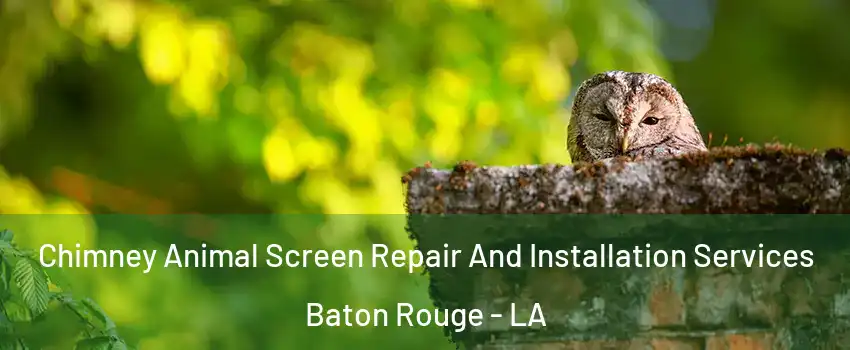  Chimney Animal Screen Repair And Installation Services Baton Rouge - LA