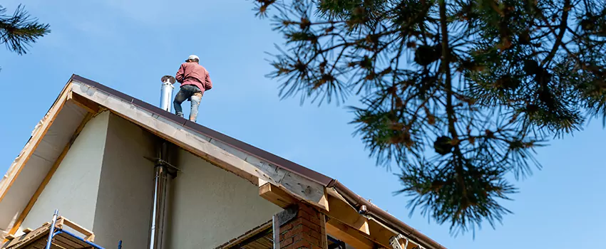 Birds Removal Contractors from Chimney in Baton Rouge, LA