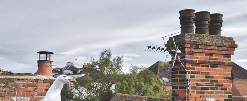 Chimney Cleaning And Restoration in Baton Rouge, Louisiana
