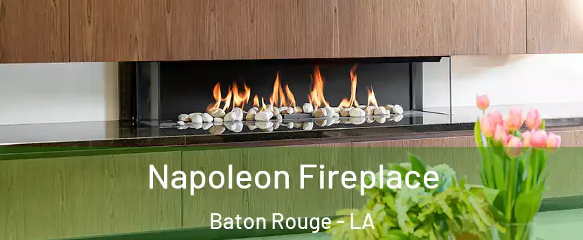  Napoleon Fireplace Baton Rouge - LA